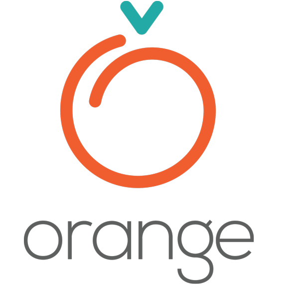 Logo Orange Organization